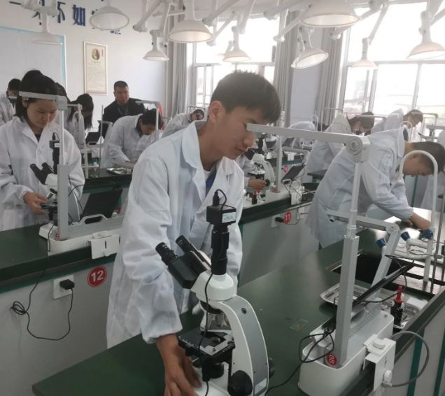 教育者都有鼓勵(lì)作用這種作用在兒童與青少年中體現(xiàn)得非常明顯